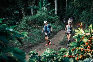 BIB: 
                            <button type="button" onclick="openModal(25806525)" class="btn btn-primary btn-sm float-right btn-popup" data-toggle="modal" data-target=".modal-high-quality">
                        <i class="fas fa-shopping-cart"></i> Add to Cart
                    </button>
                                            <button type="button" onclick="isThisMe(25806525, true)" class="btn btn-success btn-sm float-right btn-popup btn-isme hidden" data-toggle="tooltip" data-placement="bottom" title="นี่คือรูปของคุณใช่ไหม คลิกที่นี่เพื่อเอาเข้าอัลบั้ม">
                        <i class="fas fa-plus"></i> Add to album
                    </button>
                    <button type="button" onclick="isThisMe(25806525, false)" class="btn btn-warning btn-sm float-right btn-popup btn-isnotme hidden">
                        <i class="fas fa-ban"></i> Remove from album
                    </button>